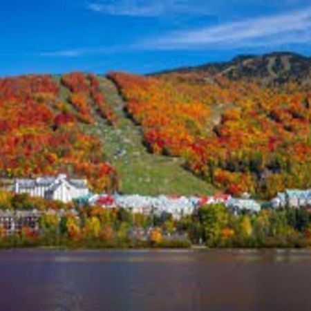 Chalet L'Erable Mont-Tremblant/Lac Superieur & Spa Eksteriør billede
