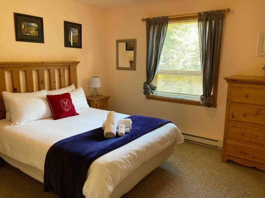 Chalet L'Erable Mont-Tremblant/Lac Superieur & Spa Eksteriør billede