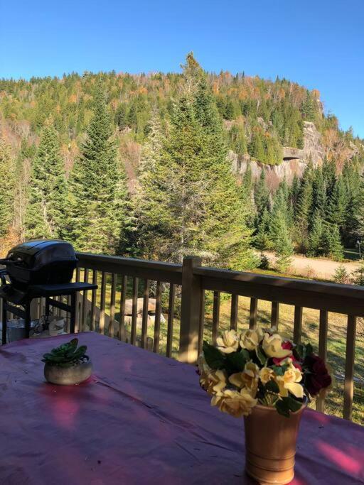 Chalet L'Erable Mont-Tremblant/Lac Superieur & Spa Eksteriør billede