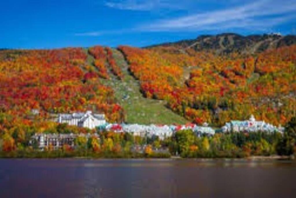 Chalet L'Erable Mont-Tremblant/Lac Superieur & Spa Eksteriør billede